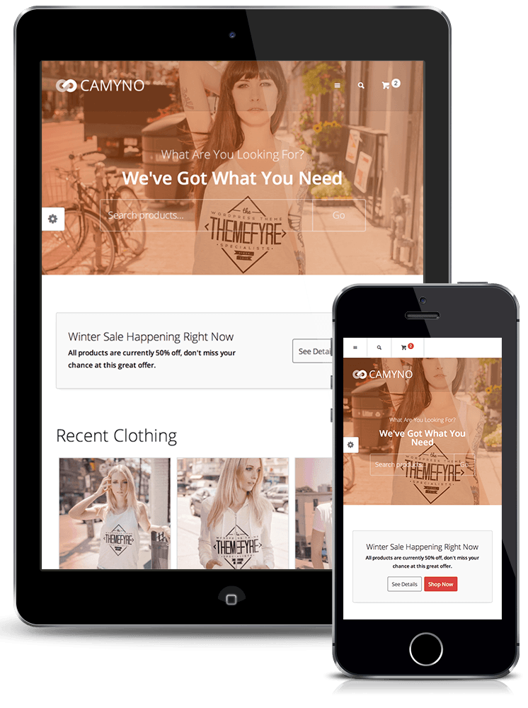 ipad_iphone_responsive_1